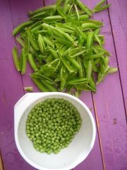 931233_10152972812100363_1100445427_n