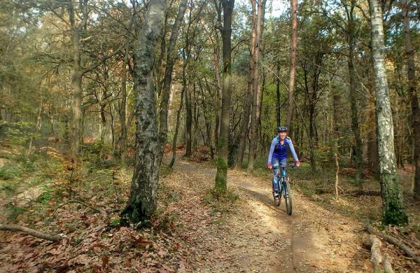 12191827_890715667678315_3702433842488592665_n