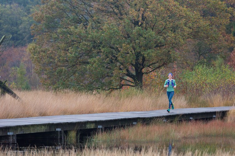 37647373890_69d90baf56_o